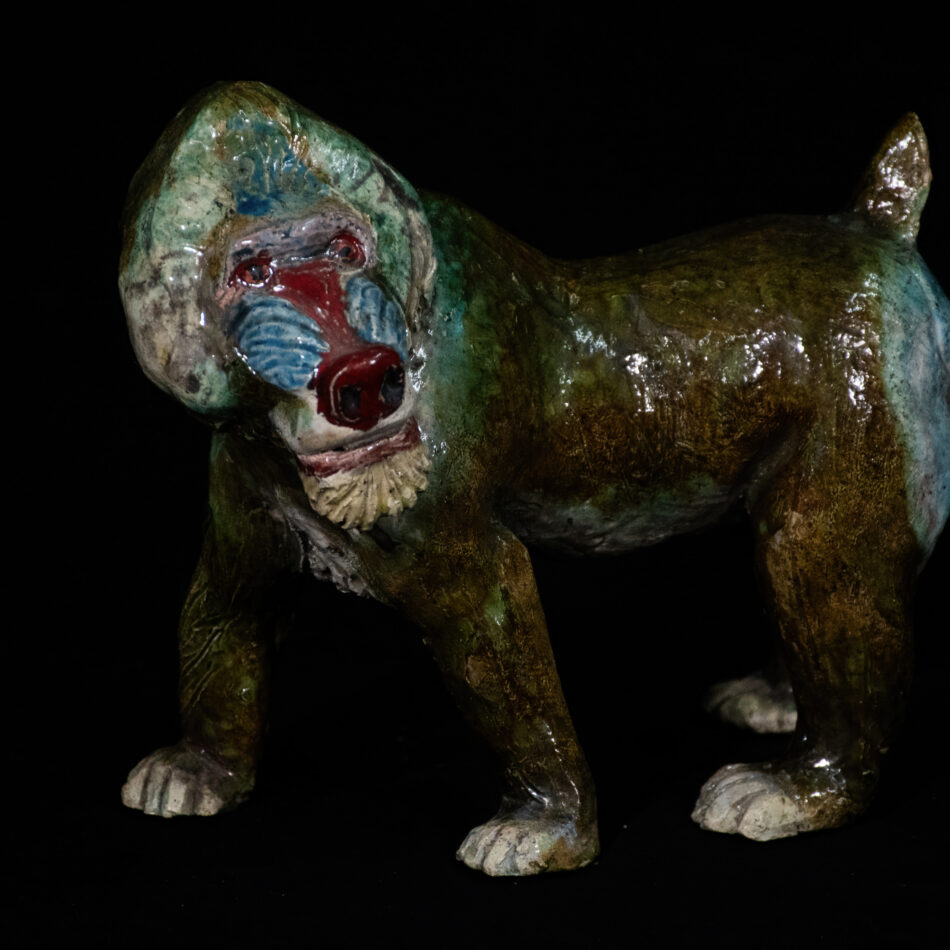 Mandrill (Small)