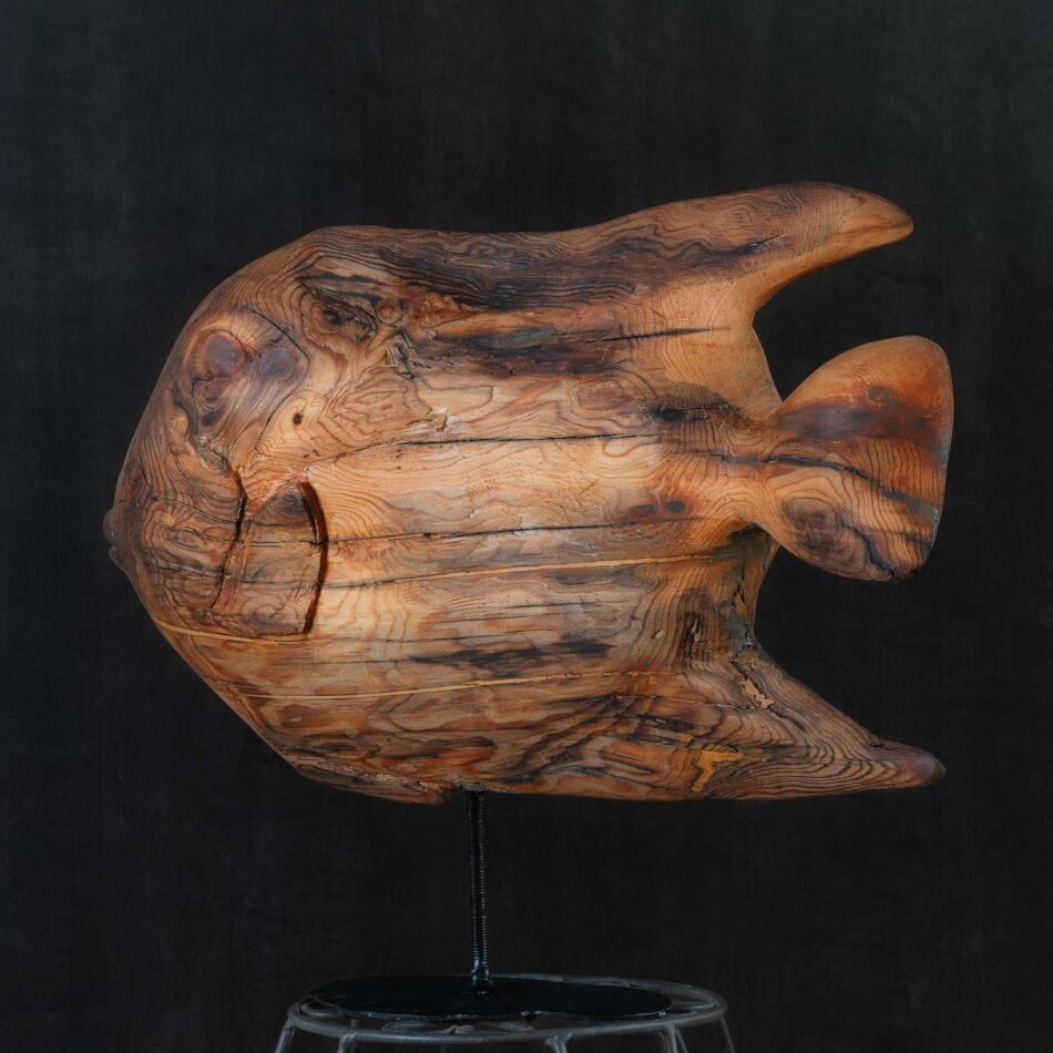 Angel Fish