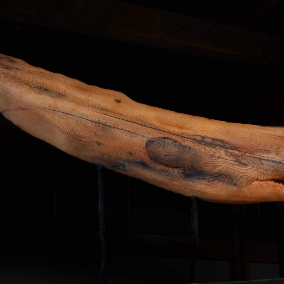 Sperm Whale