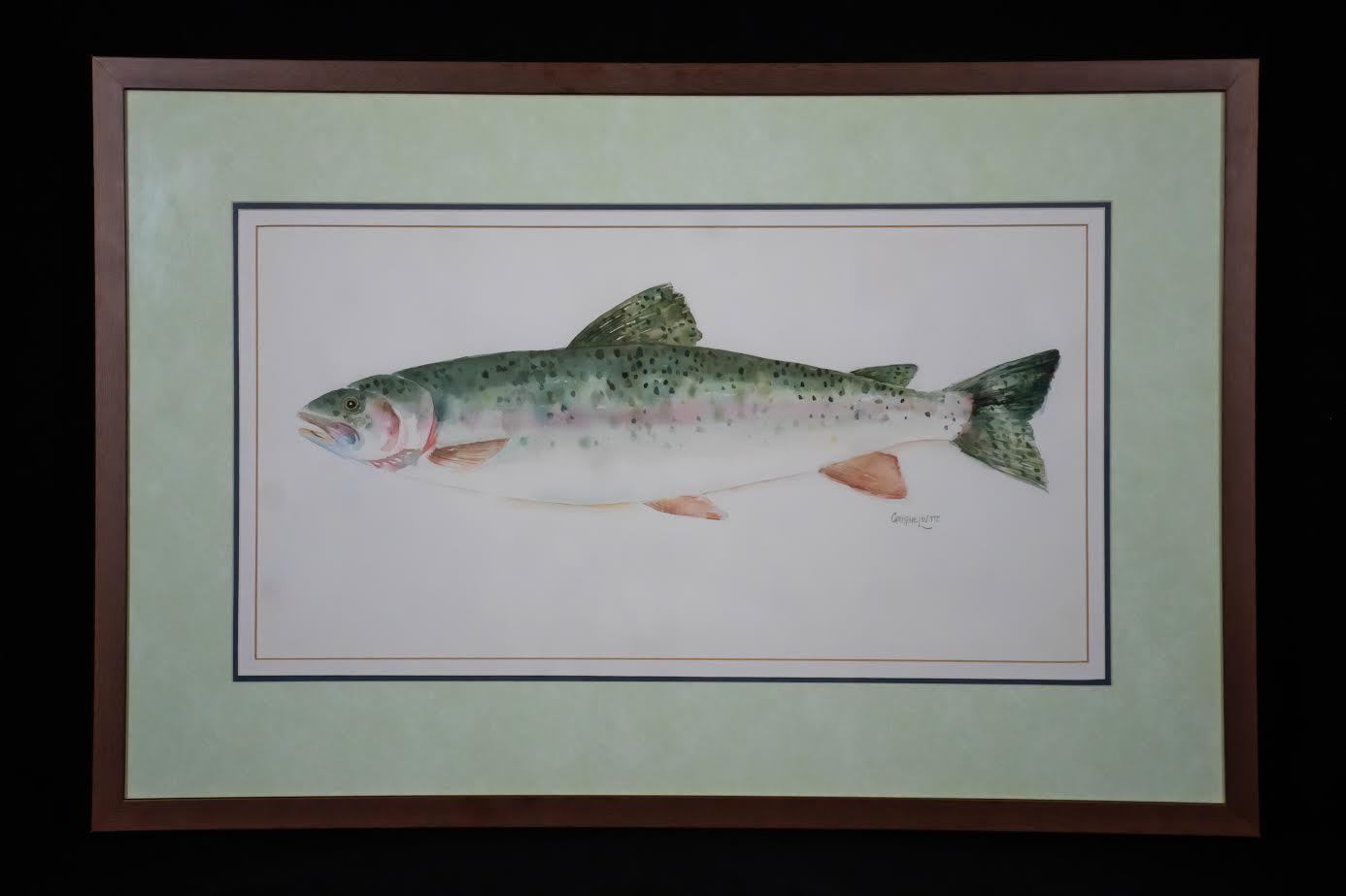 Rainbow Trout