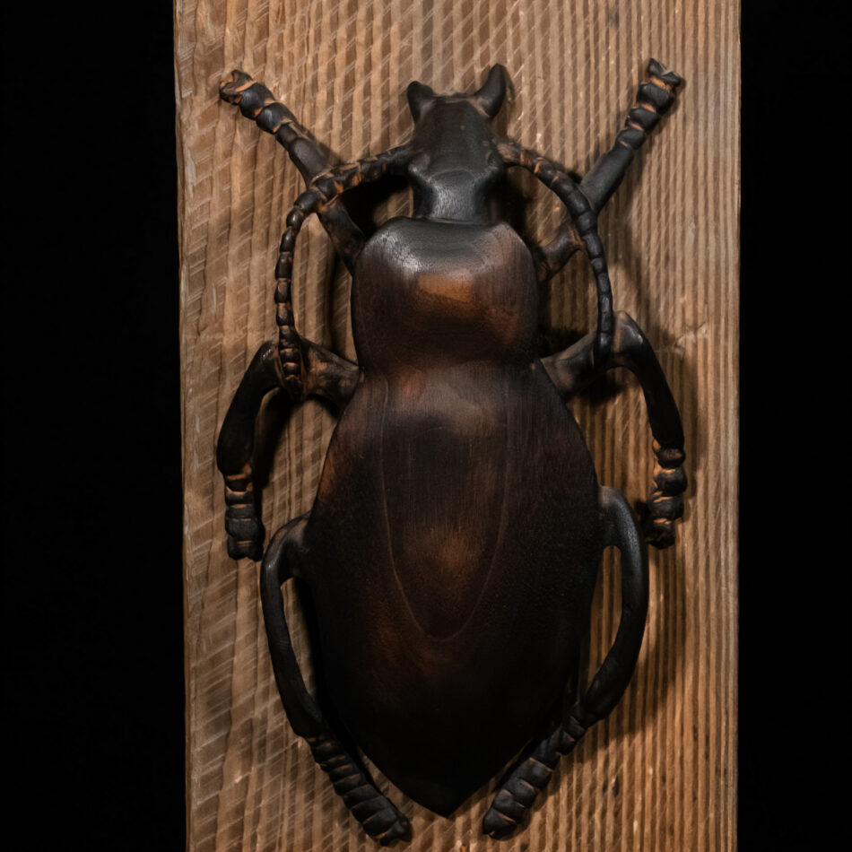 Adult Grub