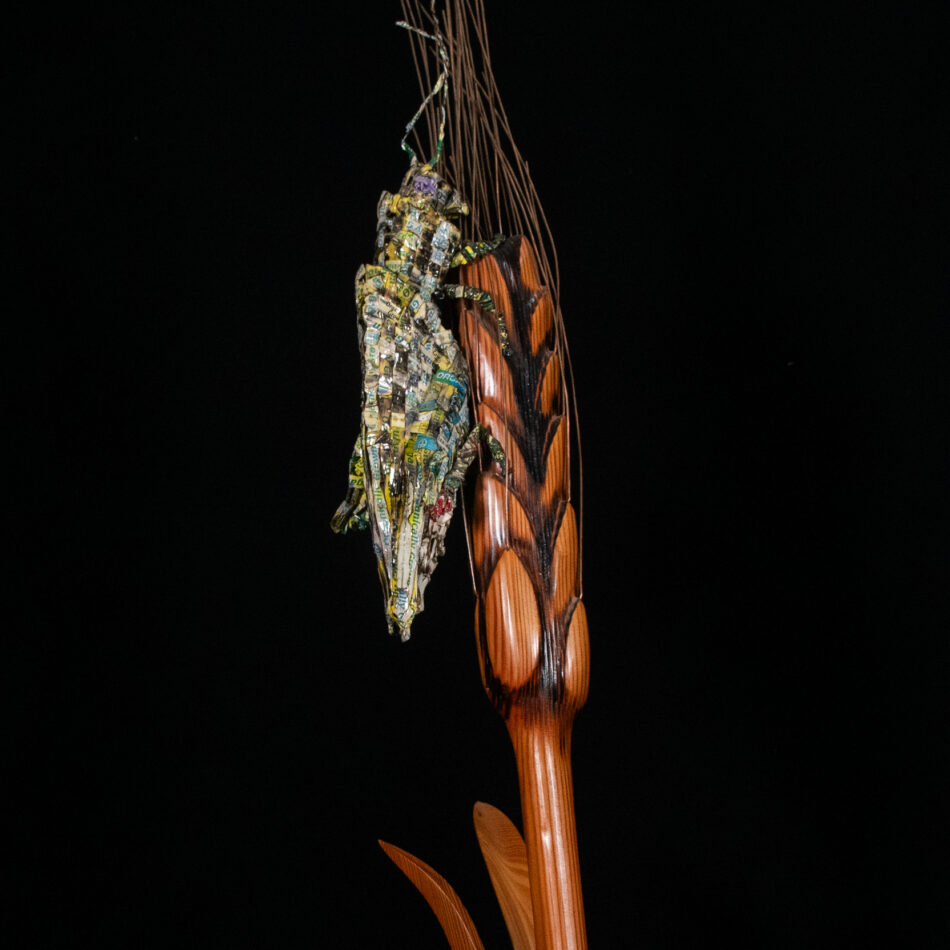 Locust