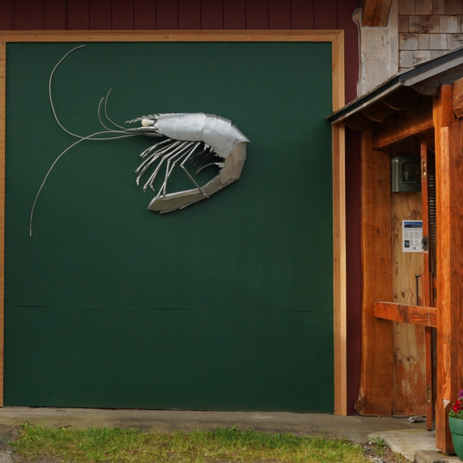 Shrimp
