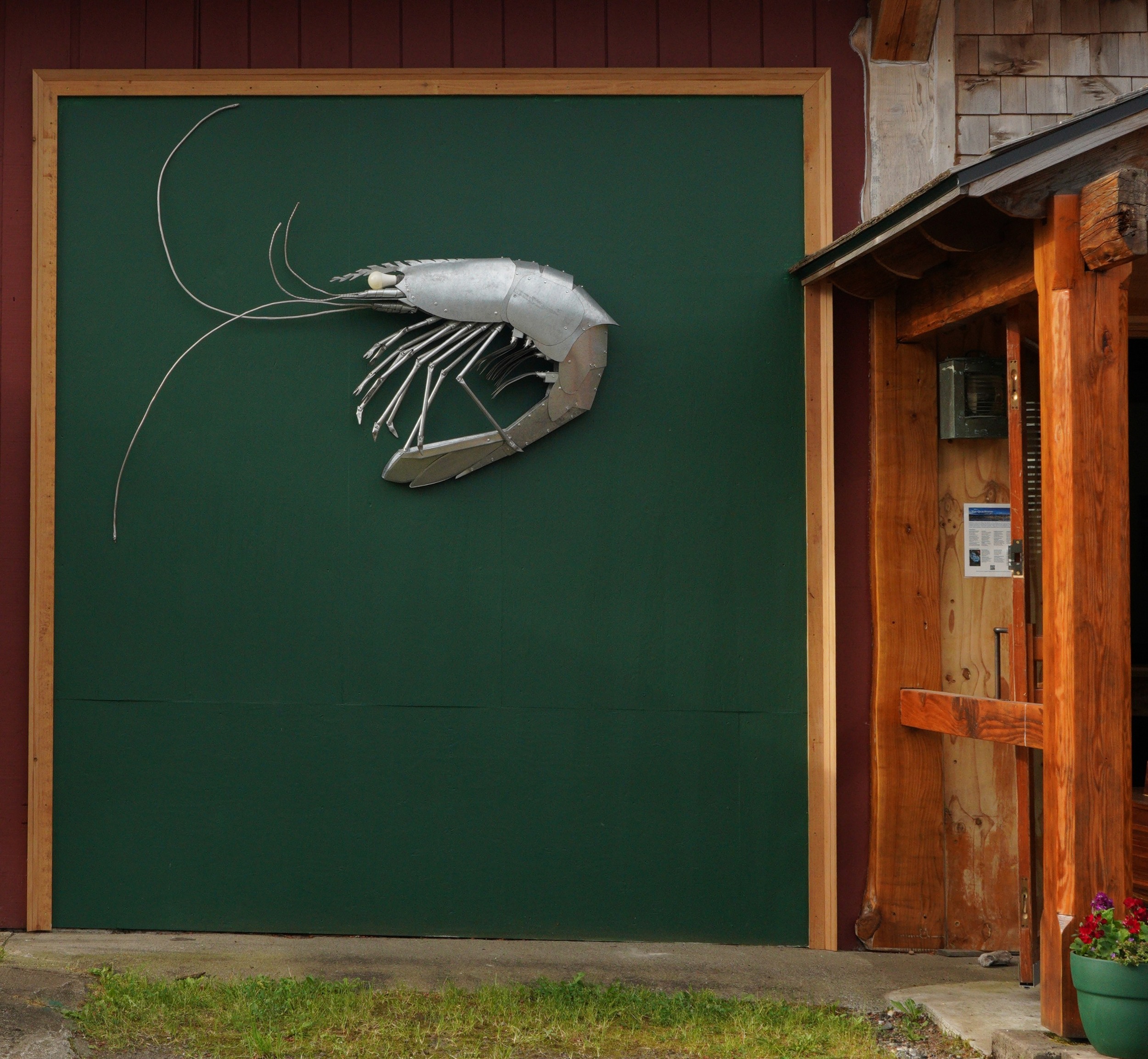 Shrimp