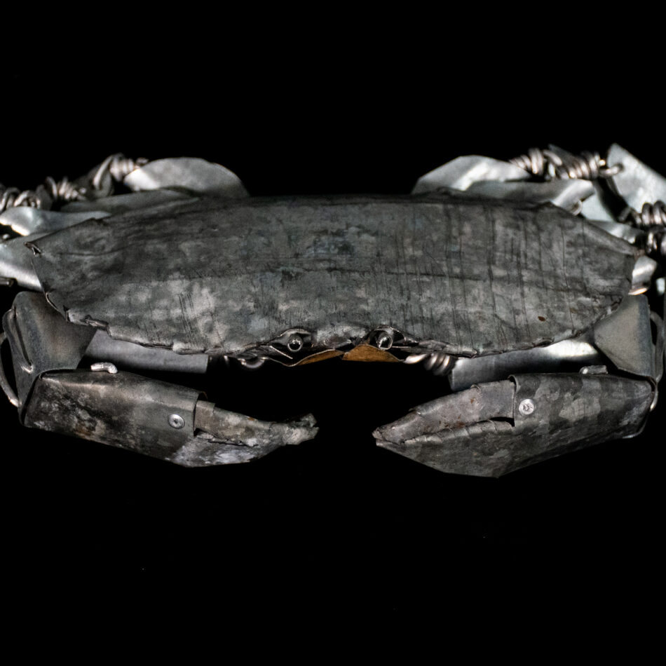 The Last Crab
