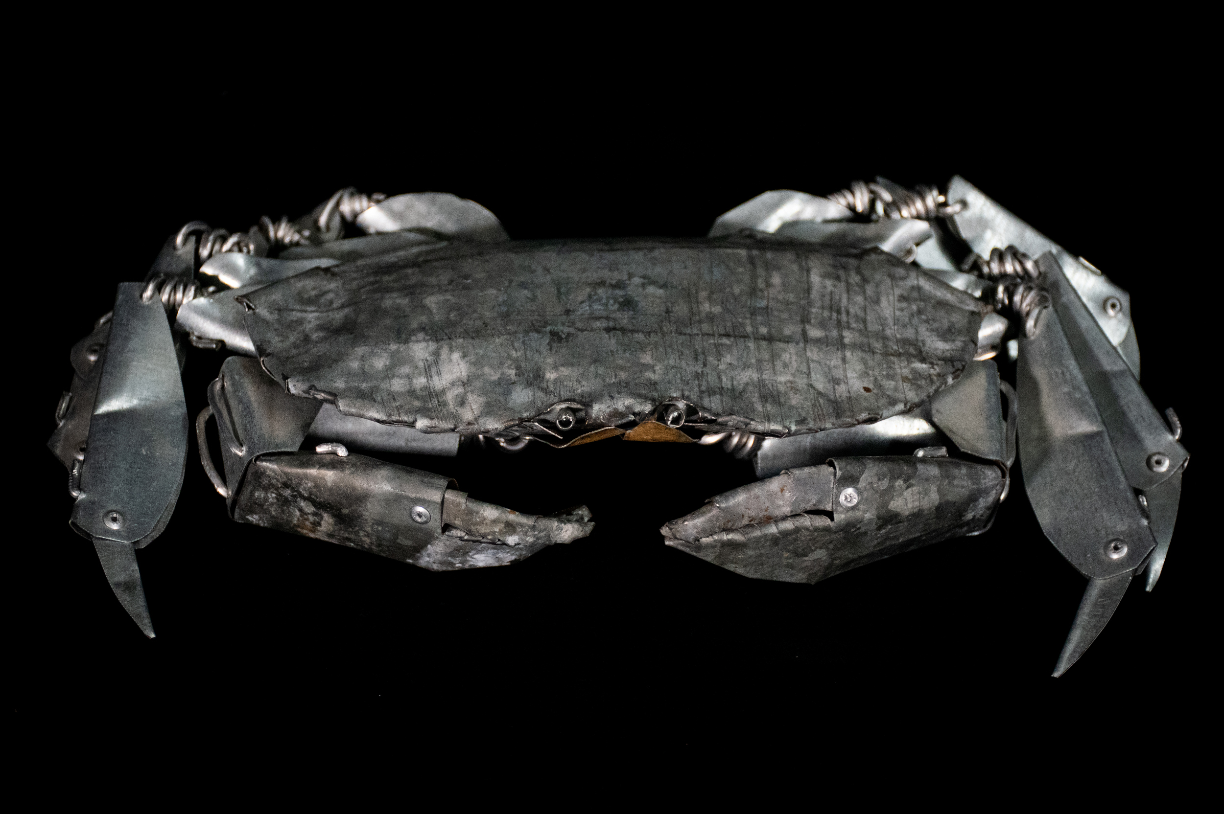 The Last Crab